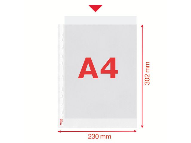 Plastficka ESSELTE A4 prägl.0,11mm100/fp